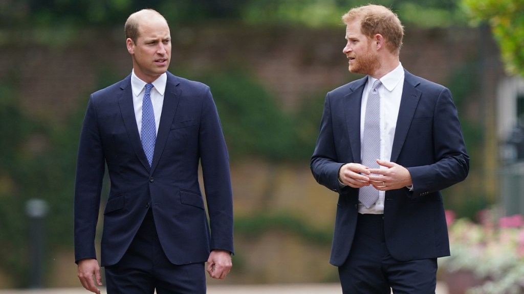 Prince Harry's Upcoming Plans Risk Straining Ties with Brother — Source