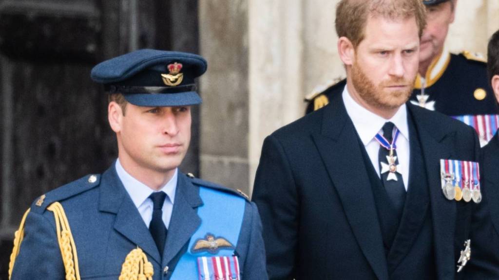 Divide Between Prince William & Prince Harry Is Now ‘Absolute’ — Author