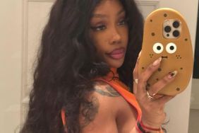 SZA Shows Off White Thong in Bold Mirror Selfie