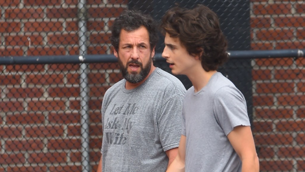 Timothée Chalamet & Adam Sandler Take on Teens in Viral Basketball Clip