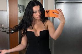 Charli XCX Dons Bra Under Cropped Sweater in New Selfie