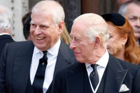 Ex-Prince Andrew’s Needs To Be Taken Care of Even at ‘Rock Bottom’ — Expert