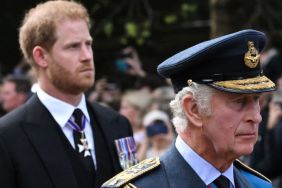 Prince Harry Wants King Charles To Do This for His Kids — Source