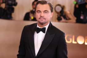 Leonardo DiCaprio Becomes Meme Sensation With Golden Globes Expressions