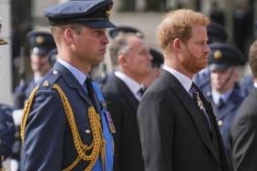 Prince William Not on Same Page About Prince Harry Reconciliation — Expert