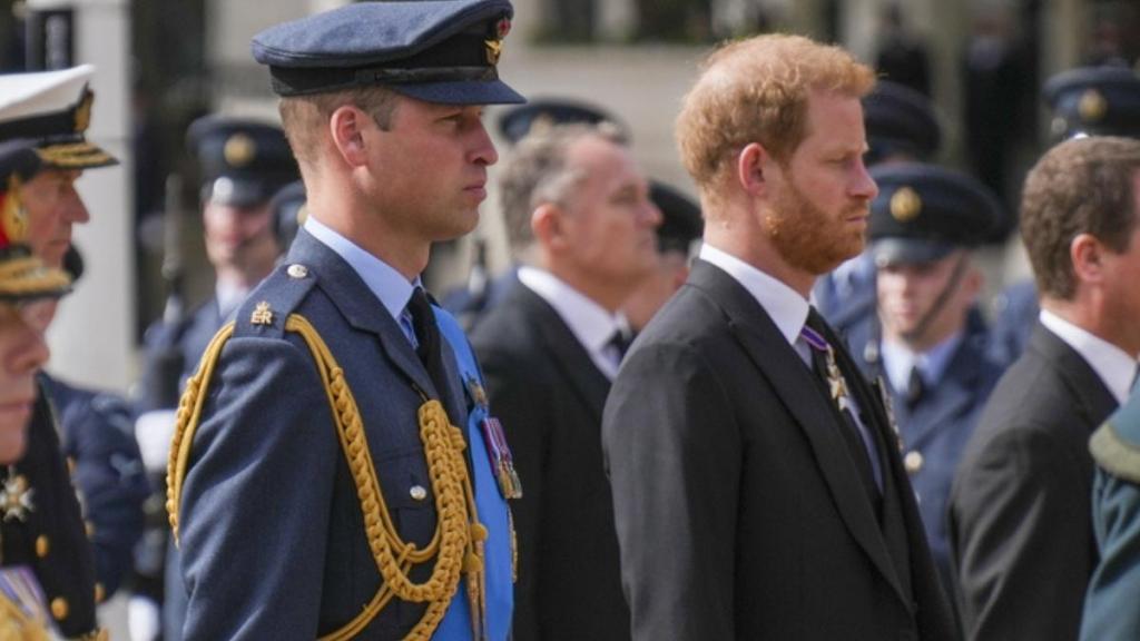Prince William Not on Same Page About Prince Harry Reconciliation — Expert