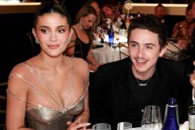 Timothee Chalamet & Kylie Jenner Get Approval From Family Member — Report