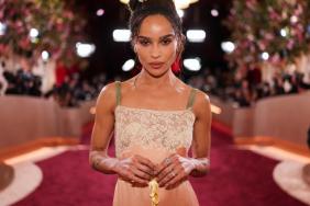 Zoe Kravitz & Harry Styles Romance Reaches Major Milestone — Source