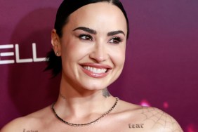 demi lovato sheer top instagram