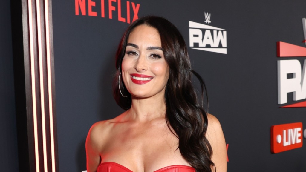 nikki bella top strings photo