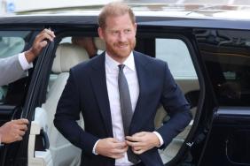 Royal Family Against 'Media Circus' With Prince Harry Reunion — Expert