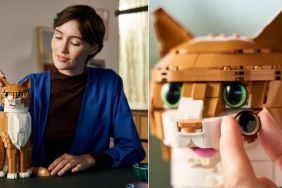 Lego's New $99 Orange Cat Set Receives Mixed Reaction