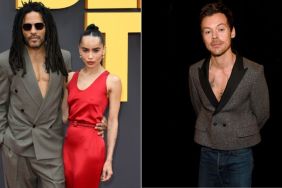 Zoe Kravitz’s Dad Wants Harry Styles To Expedite Proposal — Source
