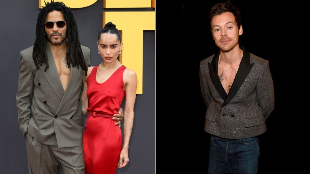 Zoe Kravitz’s Dad Wants Harry Styles To Expedite Proposal — Source
