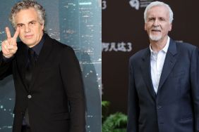 Mark Ruffalo Questions James Cameron's Stance on Netflix-Warner Bros. Deal