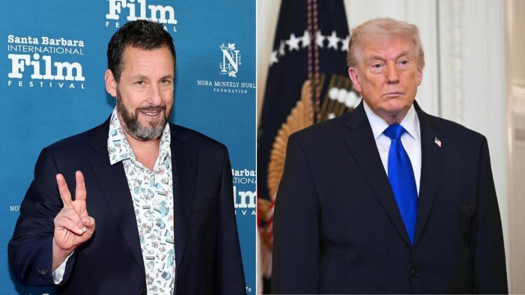 No, Adam Sandler Didn't Endorse 'Make America Trumpless Again'