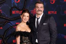 David Harbour Attends Millie Bobby Brown's Birthday Bash After Bullying Reports