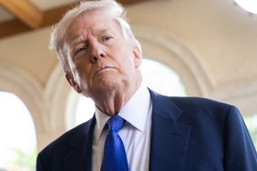 Donald Trump Appears Over a ‘Million Times’ in Epstein Files, Says Jamie Raskin