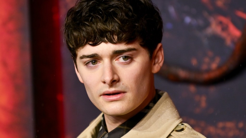 Stranger Things' Actor Faces Backlash for Supporting Canada in Men's Hockey