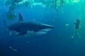 Under Paris 2 sequel Netflix Alexandre Aja