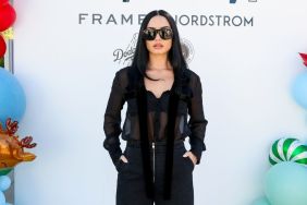 Demi Lovato Gives Tour Sneak Peek in Sheer Corset Top
