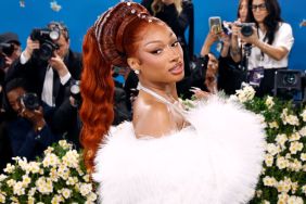 Megan Thee Stallion's Fully See-Through Dress for MFW Demands Attention