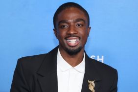 Stranger Things Star Initially Thought Popular Finale Fan Theory Was 'Dumb'