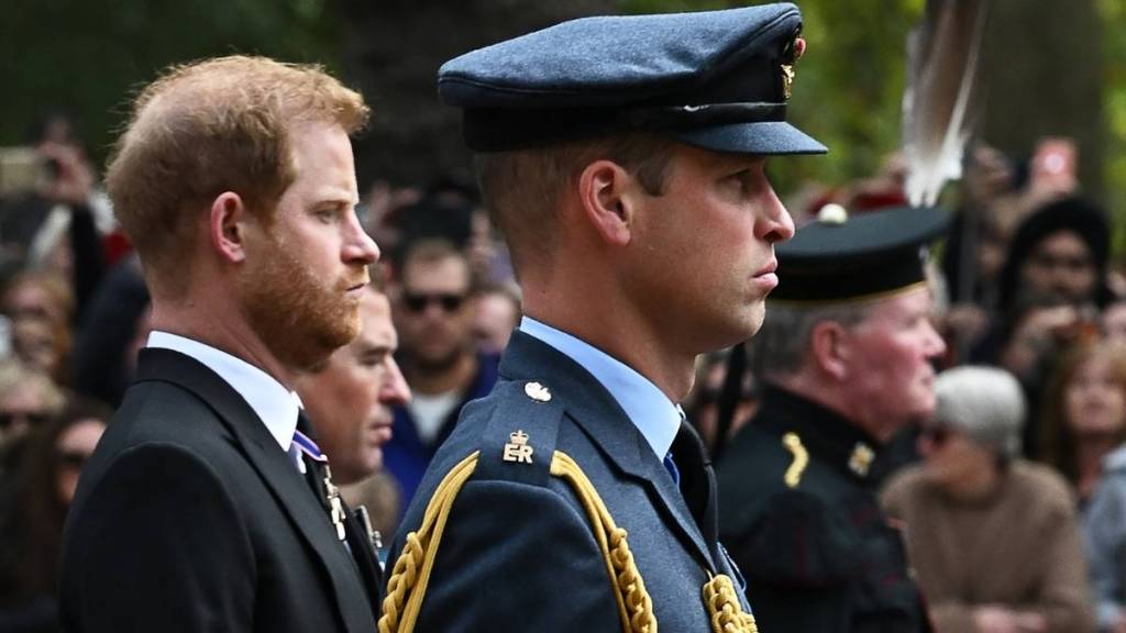 Prince Harry’s ‘Assault’ Claim Against Prince William Was a ‘Cheap Shot’ — Report