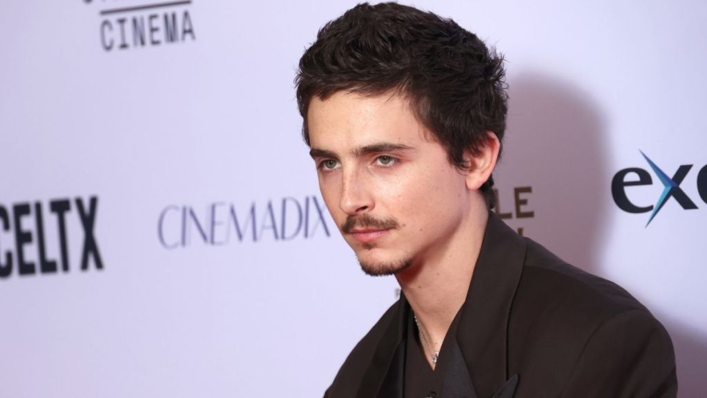 Timothée Chalamet Spent His Own Money To Perform Bob Dylan Songs on SNL