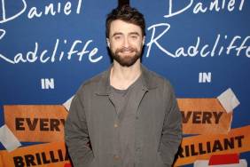 Daniel Radcliffe Made This Request Ahead of Harry Potter TV Casting News