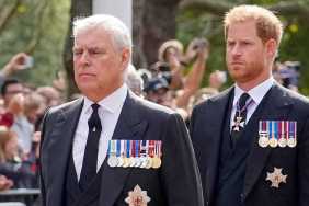 Why Prince Harry Felt 'Frustrated' by Ex-Prince Andrew Comparisons — Source