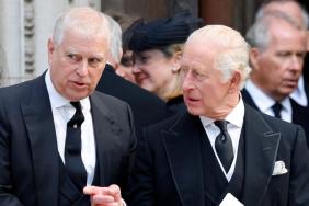 Ex-Prince Andrew Never ‘Liked’ King Charles, Says Expert
