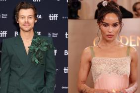 Zoe Kravitz May Join Boyfriend on Tour Amid 'Serious' Relationship — Source