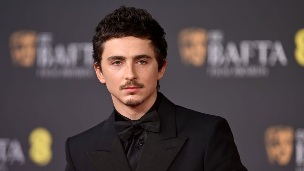Timothée Chalamet Reveals the Time a ‘Punk’ Actor Slammed His Acting