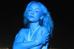 Zara Larsson Goes Bold in Mini Dress Packed With Cut-Outs Before Tour