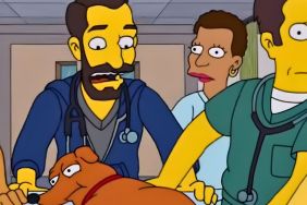 the simpsons pitt 800th episode
