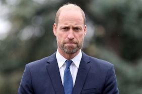 Princess Diana Thought Prince William Never Wanted to Be King — Author