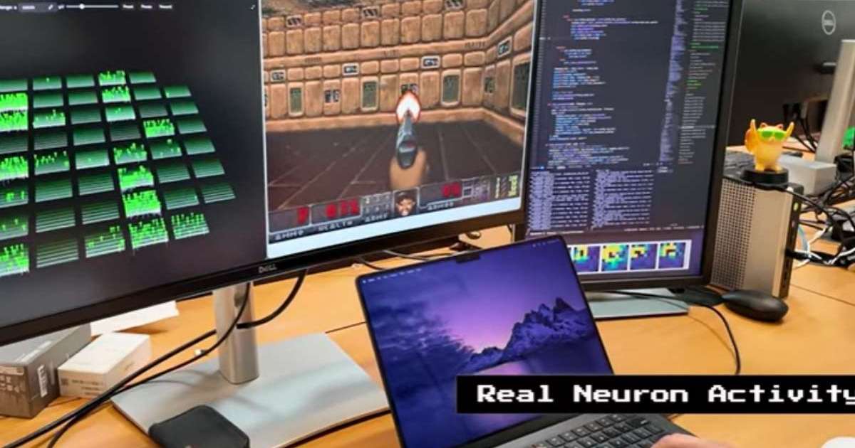 800K Brain Cells in Petri Dish Playing Doom Is Freaking Out the Internet