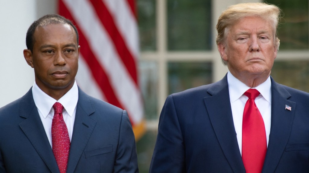 Donald Trump on Tiger Woods After DUI Arrest: 'He Has a Lot of Pain'