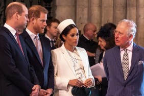 king charles prince harry meghan markle