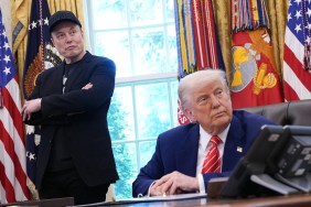 elon musk donald trump