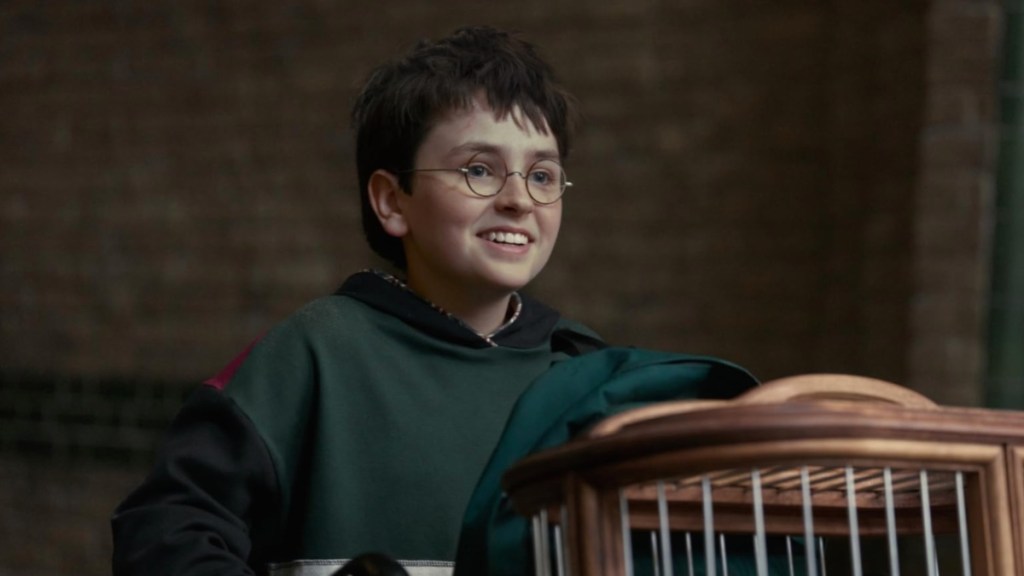 Harry Potter TV Series Trailer Stirs Deep Nostalgia Among Fans