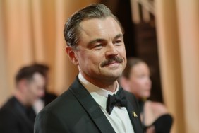 Leonardo DiCaprio Hailed As 'King of Memes' As He Creates New One