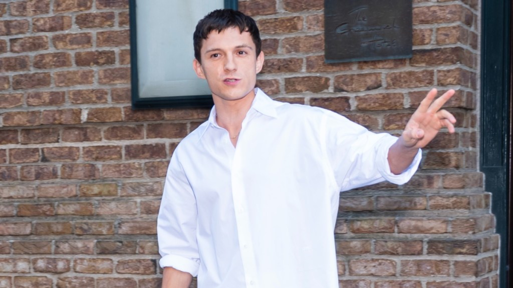 Tom Holland Spotted for First Time Amid Zendaya Marriage News