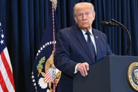 Donald Trump Gives 'Complete & Total' Endorsement to Jake Paul