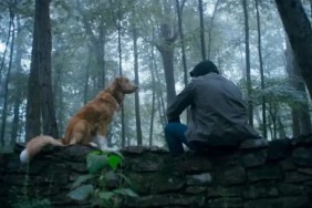 Hulu Sets Streaming Date for Horror Movie Centered on a Dog