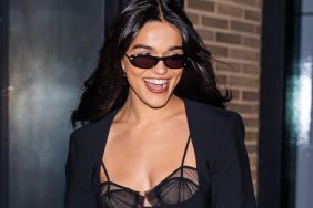 Rachel Zegler Looks Dreamy in Fully Sheer Dress for Magazine Shoot