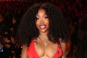 SZA Drops Jaws With a Daring Outfit in New Photo Dump