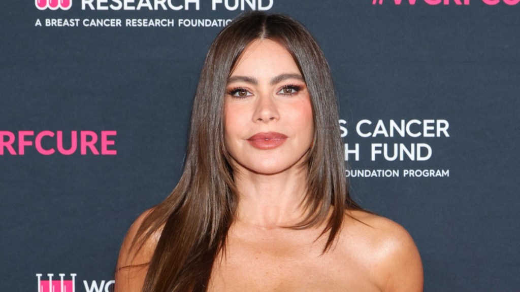 Sofia Vergara see-through dress America's Got Talent