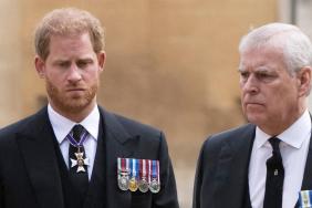Prince Harry Unfazed by Royals' Big Ongoing Scandal — Expert